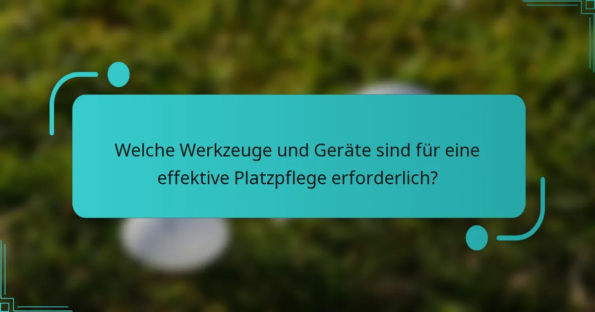 Welche Werkzeuge und Geräte sind für eine effektive Platzpflege erforderlich?